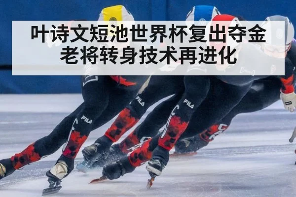 叶诗文短池世界杯复出夺金 老将转身技术再进化